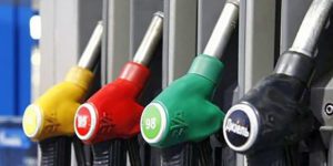 фото эконормы ЕС