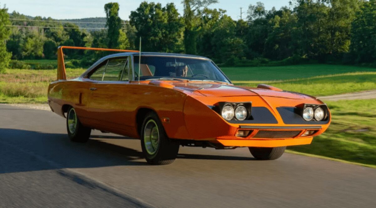 Оранжевий Superbird, що виховав чемпіона