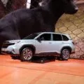 Subaru Forester 2025 року
