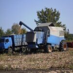 Мокрая кукуруза: сушка может стоить фермеру до 8 тысяч гривен с гектара