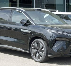 Кросовер BYD Tang L, у Європі відомий як ATTO 8