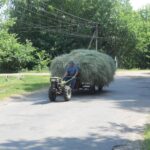 Попит на саморобні причепи на AGRO.RIA зріс на 126%. Як зареєструвати саморобну техніку