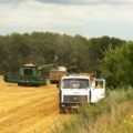Комбайни John Deere вивантажують пшеницю у вантажівки МАЗ в полі в Україні